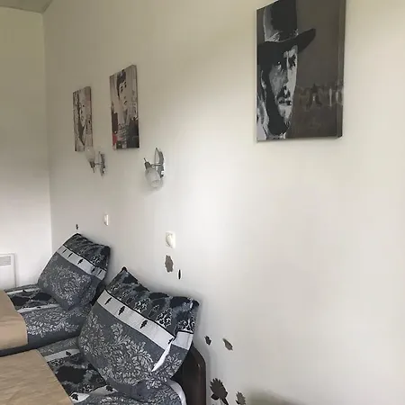 Felix Apartment Zlatibor