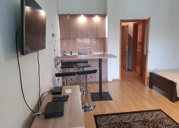 Felix 兹拉蒂博尔