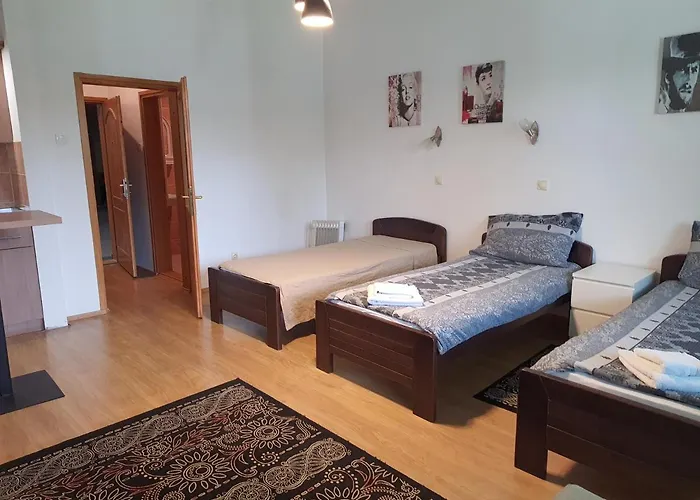 Felix 兹拉蒂博尔