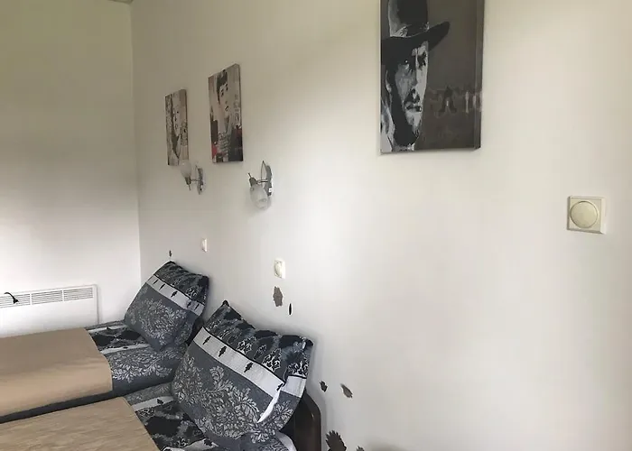 Felix 公寓 兹拉蒂博尔