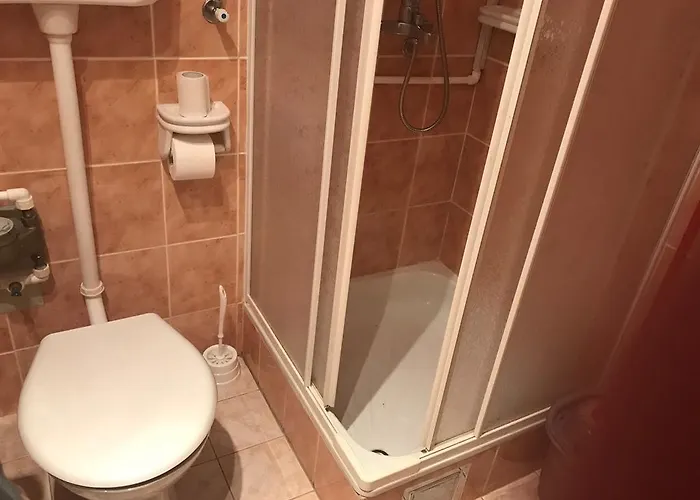 Felix * 兹拉蒂博尔