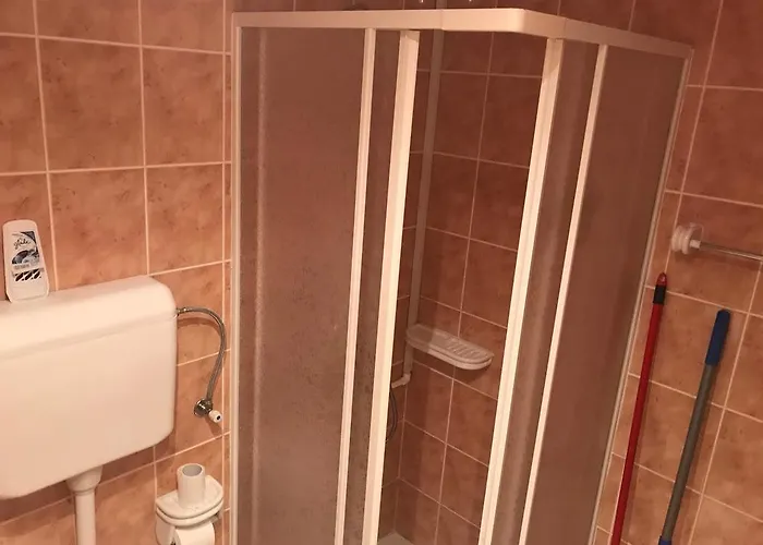 Felix 兹拉蒂博尔