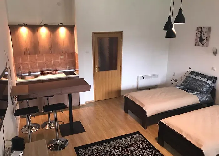 Felix * 兹拉蒂博尔