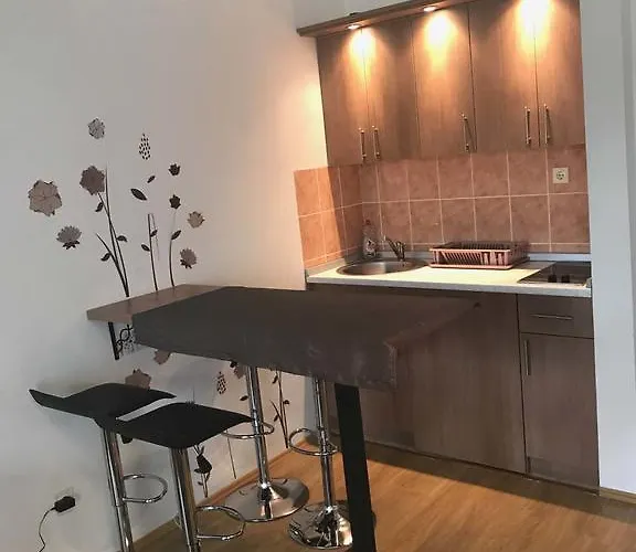 Felix 公寓 兹拉蒂博尔